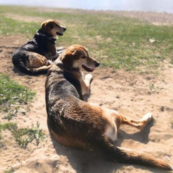Milka - ist freundlich&entspannt