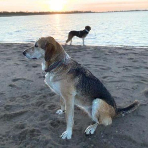 Milka - ist freundlich&entspannt