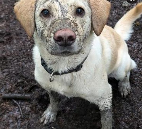 Horst liebt Abenteuer mit Menschen