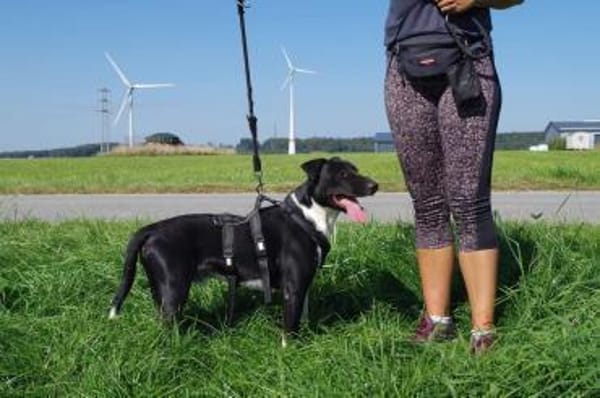 Ikem hat viel Liebe für Familie zu geben