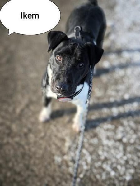 Ikem hat viel Liebe für Familie zu geben