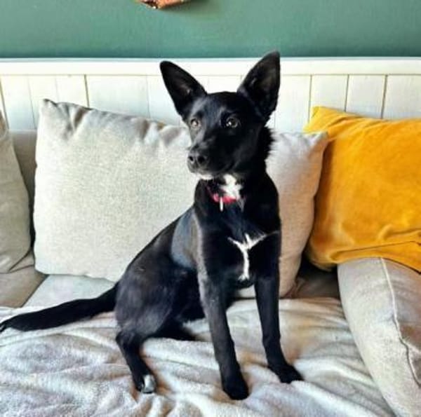 AMY-auf Pflege in Bayern!