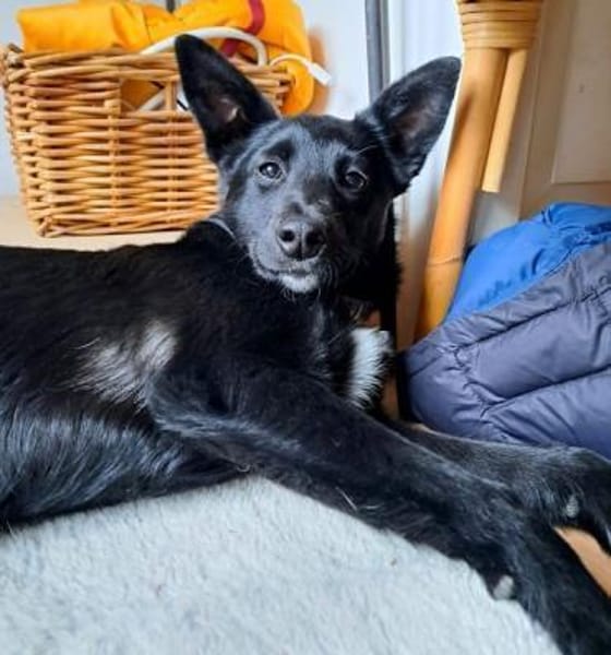 AMY-auf Pflege in Bayern!