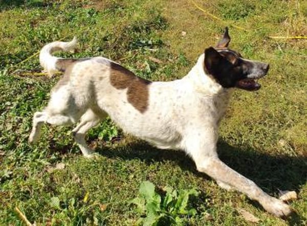 SEBI möchte dein Herz erobern!