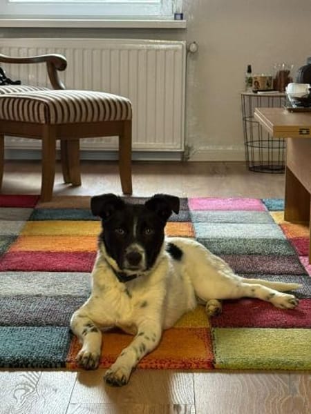 Falk - der Hübsche 🫶🏻