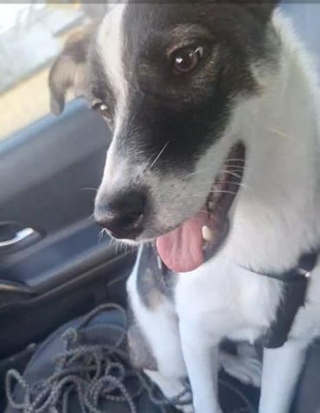 PACO hat einen Neujahrs-Wunsch