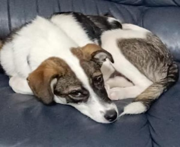 PACO hat einen Neujahrs-Wunsch