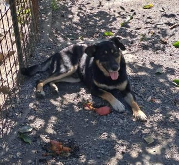 Peter 💙💙💙 sucht sein Happy-Home