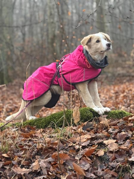 Solara - unser Sonnenschein