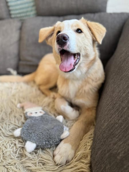 Solara - unser Sonnenschein