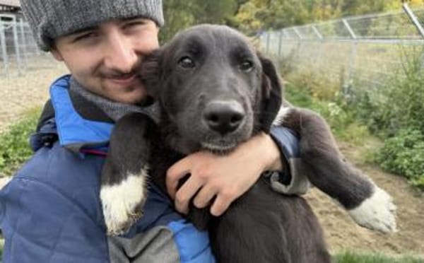 Momo's Blick ist voller Hoffnung