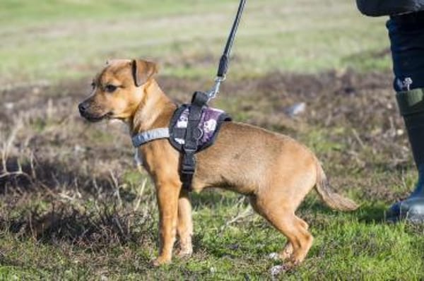 Bambina  kleine Hexe mit Turboantrieb