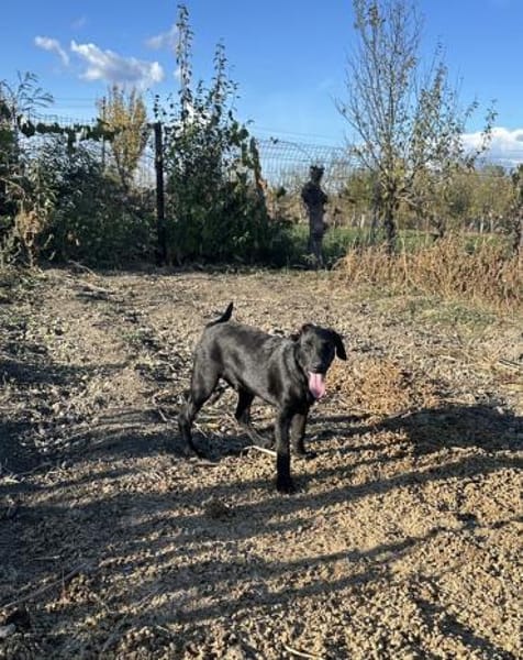 Dreckspatz Caspar unser feiner Kerl