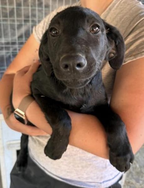 Dreckspatz Caspar unser feiner Kerl