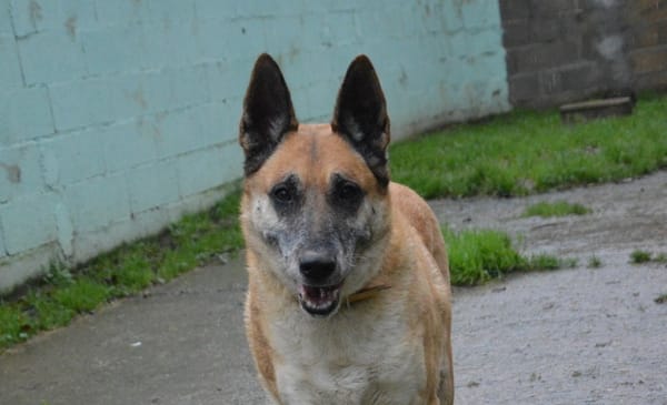 LUCKY dit VICKY CHAO