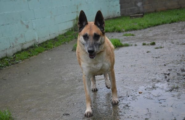 LUCKY dit VICKY CHAO