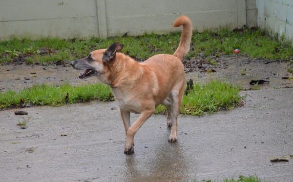 LUCKY dit VICKY CHAO