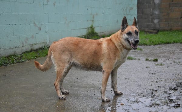 LUCKY dit VICKY CHAO