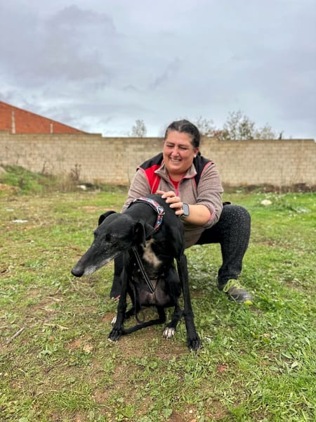 AFRICANA  (Animalea)