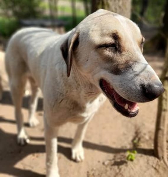 Ausgeglichene & menschenbezogene Pina