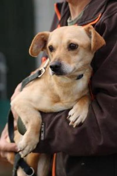 Kiani - verschmust u. sehr lieb