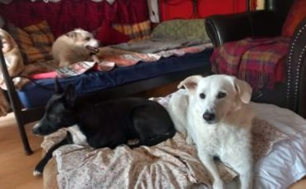 Johan wartet in seiner Pflegestelle