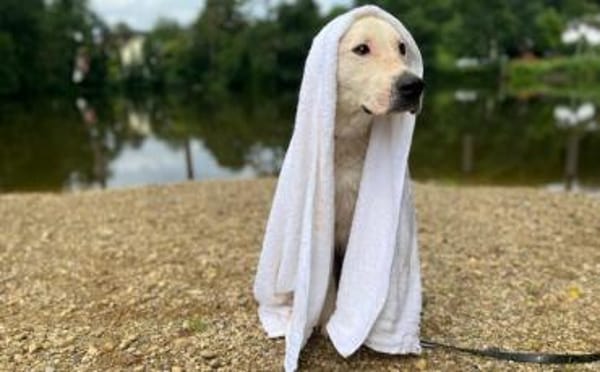 Salix wartet schon so lange