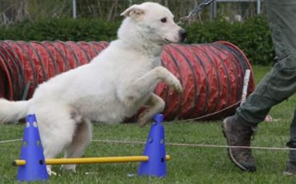 Salix wartet schon so lange
