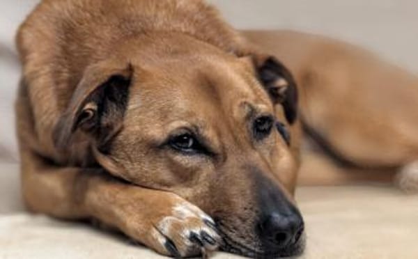 Die süße Finja möchte noch viel erleben