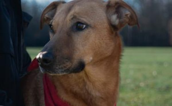 Die süße Finja möchte noch viel erleben