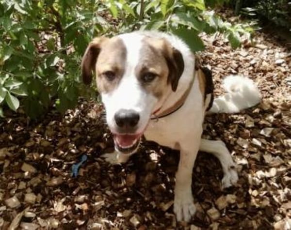 Yaro hat seinen Koffer schon gepackt