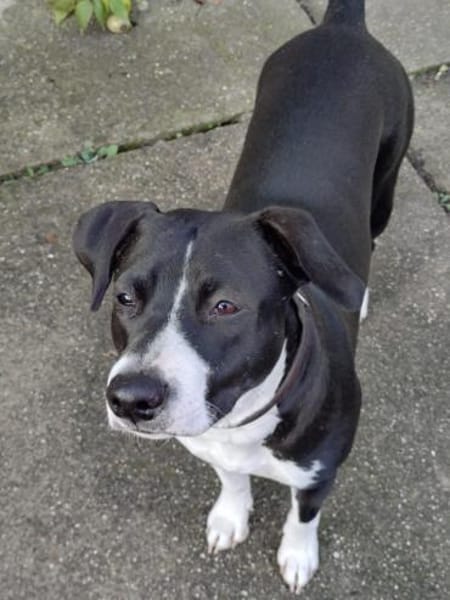 Vermittlungshilfe für KIRA