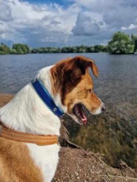 Clezo nun Mads 52 cm