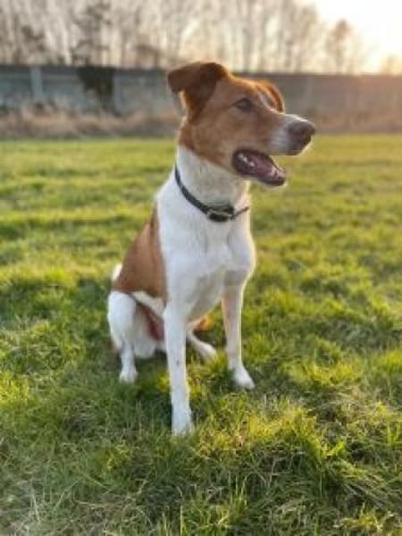 Clezo nun Mads 52 cm