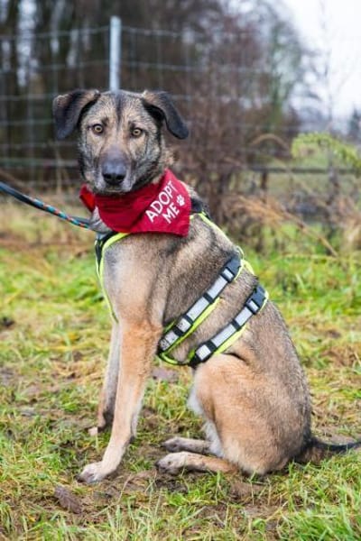 Anouk sucht eine erfahrene Familie