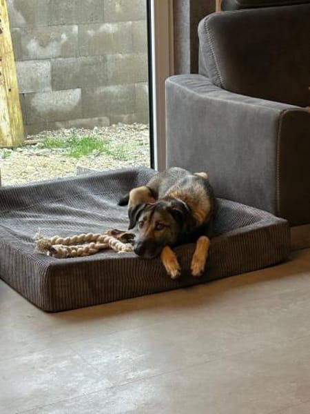 Anouk sucht eine erfahrene Familie