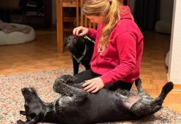 Odin ❤ unglaublich liebevoll- Erkelenz