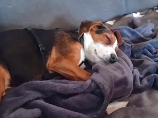 Emilia, freundlich und zauberhaft sucht