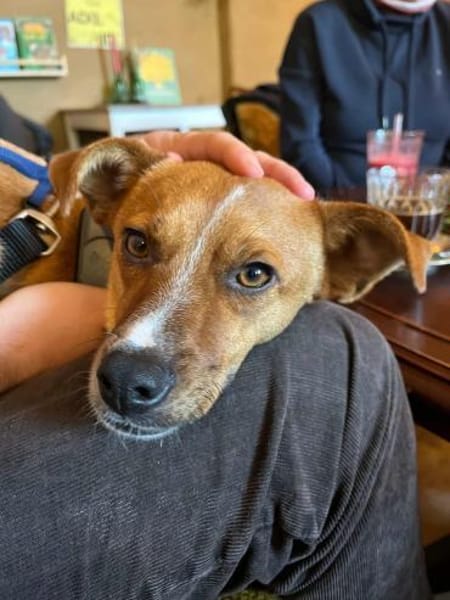 Pacco -Kuschelherz&Platz in deinem Leben