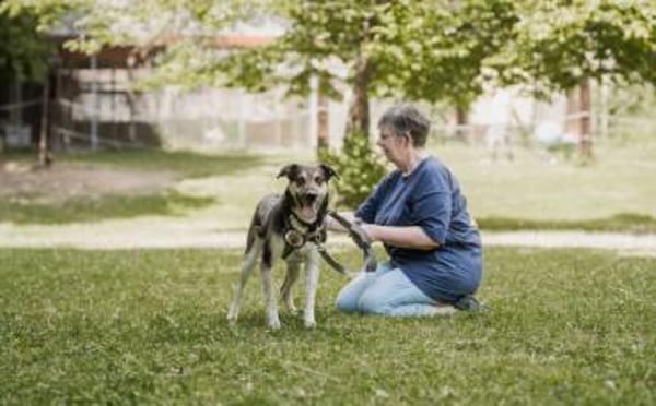 Aleksi hat seine Koffer schon gepackt