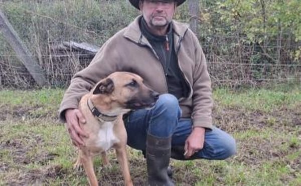 Creo sucht sein Traumzuhause