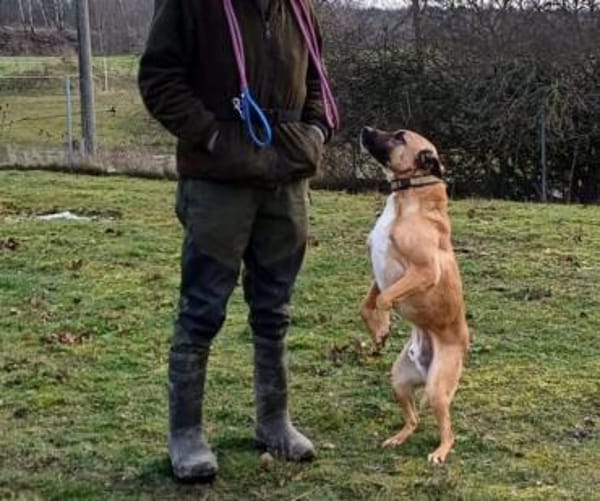 Creo sucht sein Traumzuhause