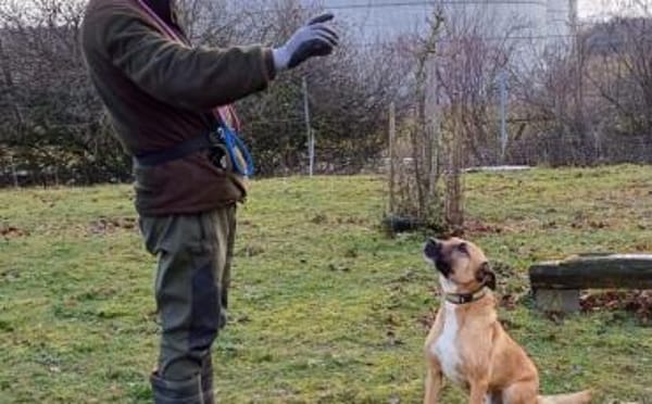 Creo sucht sein Traumzuhause