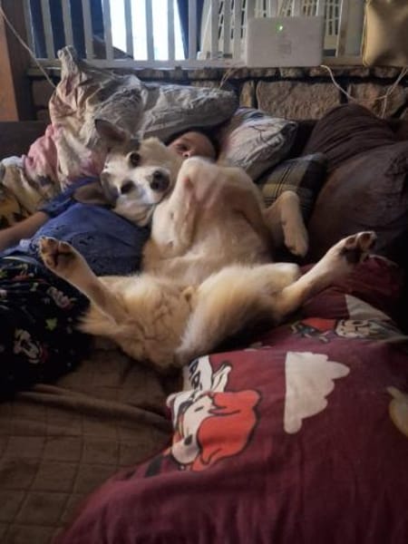 DORI - junge, freundliche Hundin