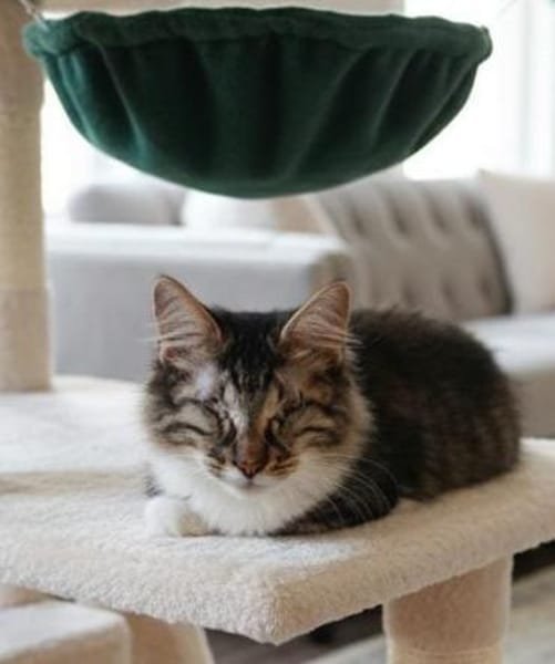 Antony + Sunbeam sehen mit dem Herzen