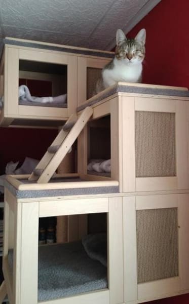 Antony + Sunbeam sehen mit dem Herzen