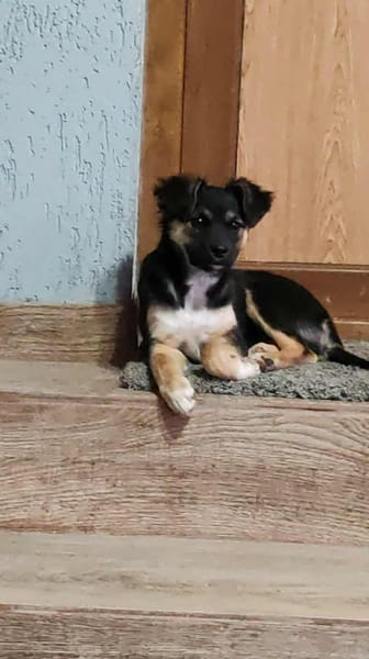 MATHILDA sucht ein Zuhause