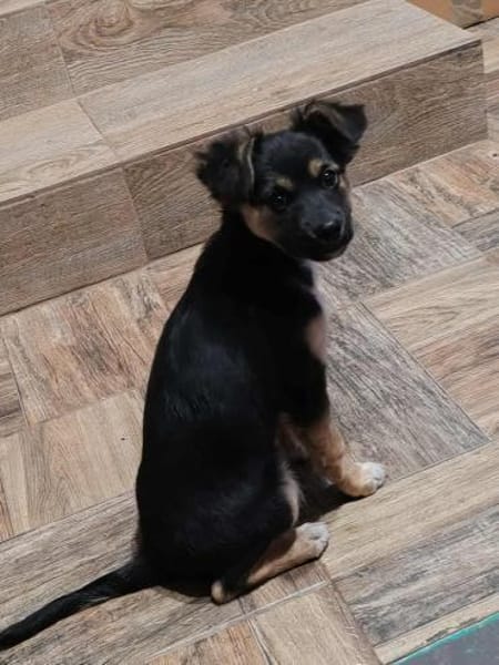 MATHILDA sucht ein Zuhause