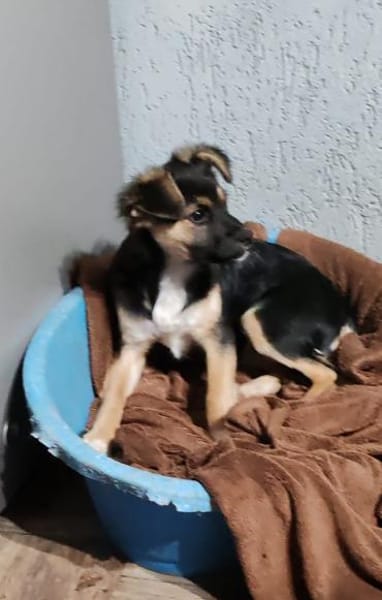 MATHILDA sucht ein Zuhause