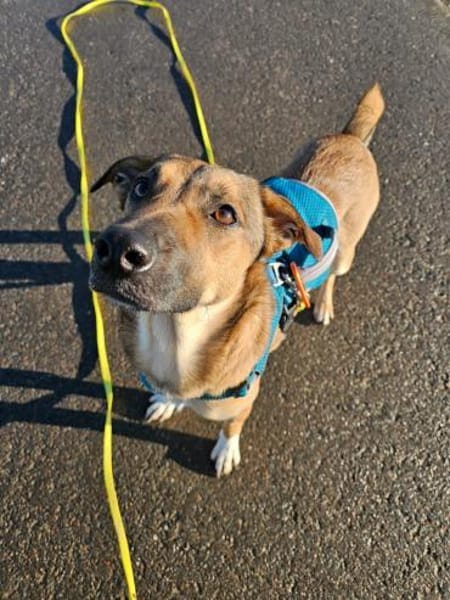 Malou sucht das große Glück